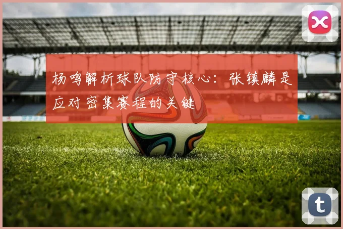 杨鸣解析球队防守核心：张镇麟是应对密集赛程的关键