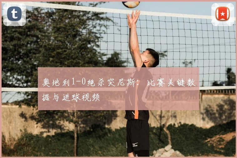 奥地利1-0绝杀突尼斯：比赛关键数据与进球视频