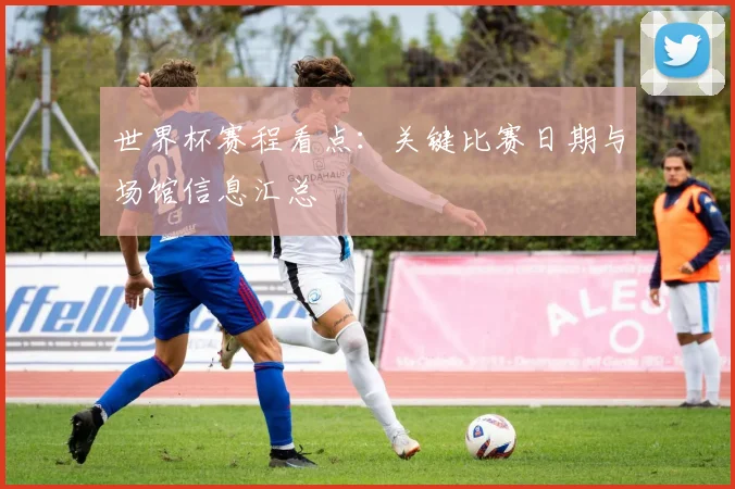 世界杯赛程看点：关键比赛日期与场馆信息汇总