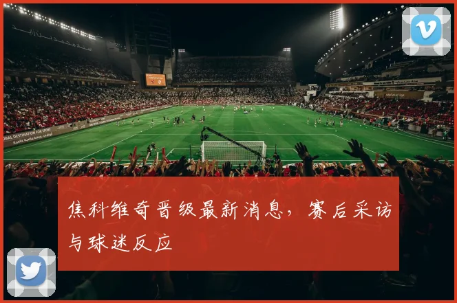 焦科维奇晋级最新消息，赛后采访与球迷反应