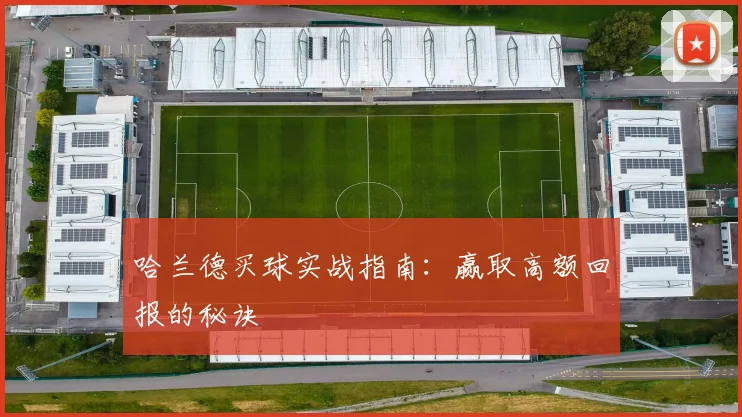 哈兰德买球实战指南：赢取高额回报的秘诀
