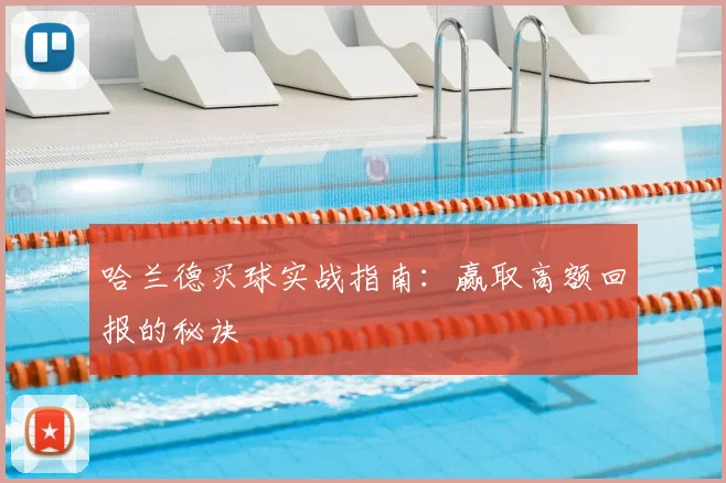 哈兰德买球实战指南：赢取高额回报的秘诀